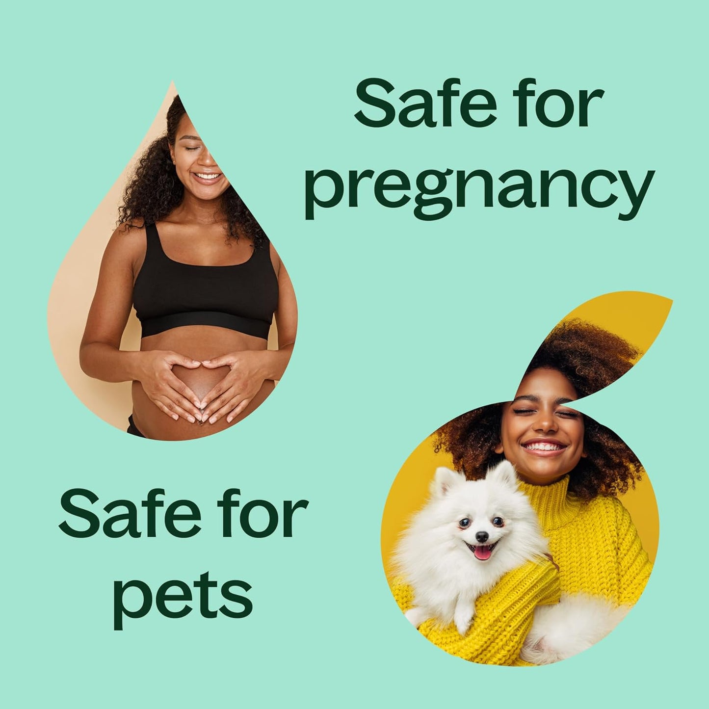 Plant Therapy Eucalyptus Pre-Diluted Essential Oil Roll-On 10mL (1/3 oz), 100% Pure, for Clear Breathing, Aromatherapy and Topical Use
