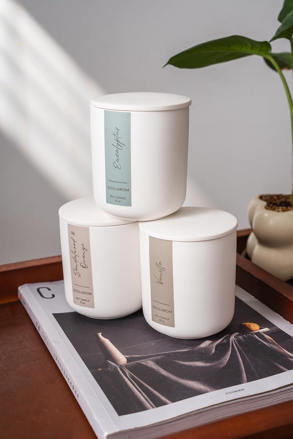 Candles for Home Scented – 10oz Hand Poured Aromatherapy Eucalyptus Candle Soy Wax Candles in Elegant Ceramic Jar – Crackling Wooden Wick Decorative Candle with 60 Hours Burn Time