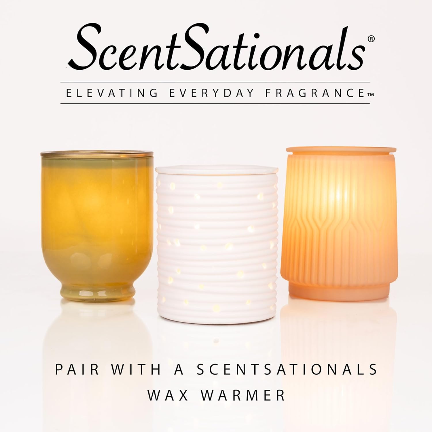 ScentSationals Coral Shores Scented Wax Melts - Mango, Pineapple, & Beach Blossoms, 10oz (24 Cubes)