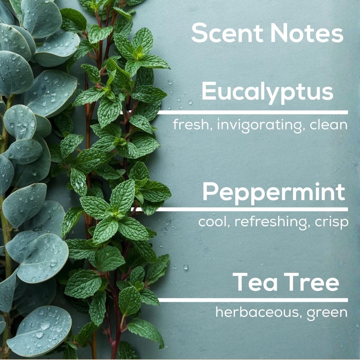 Scent Fill Eucalyptus Spearmint Plug in Air Freshener, 4 Scented Oil Refills