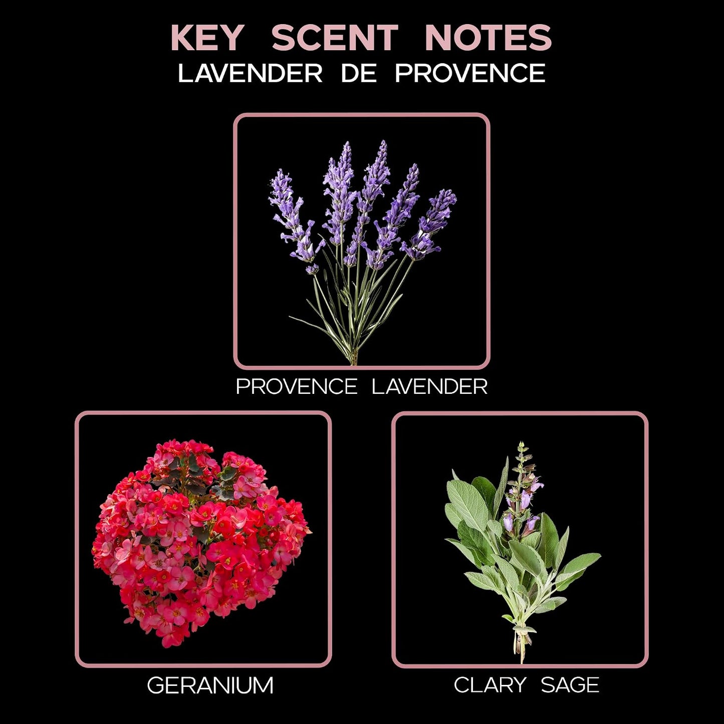 Reed Diffuser Set, Lavender De Provence Scented Oil Diffuser with Sticks, Home Fragrance Accessories for Bathroom Shelf Decor, Aroma Diffusers for Home or Office Desk, USA Made