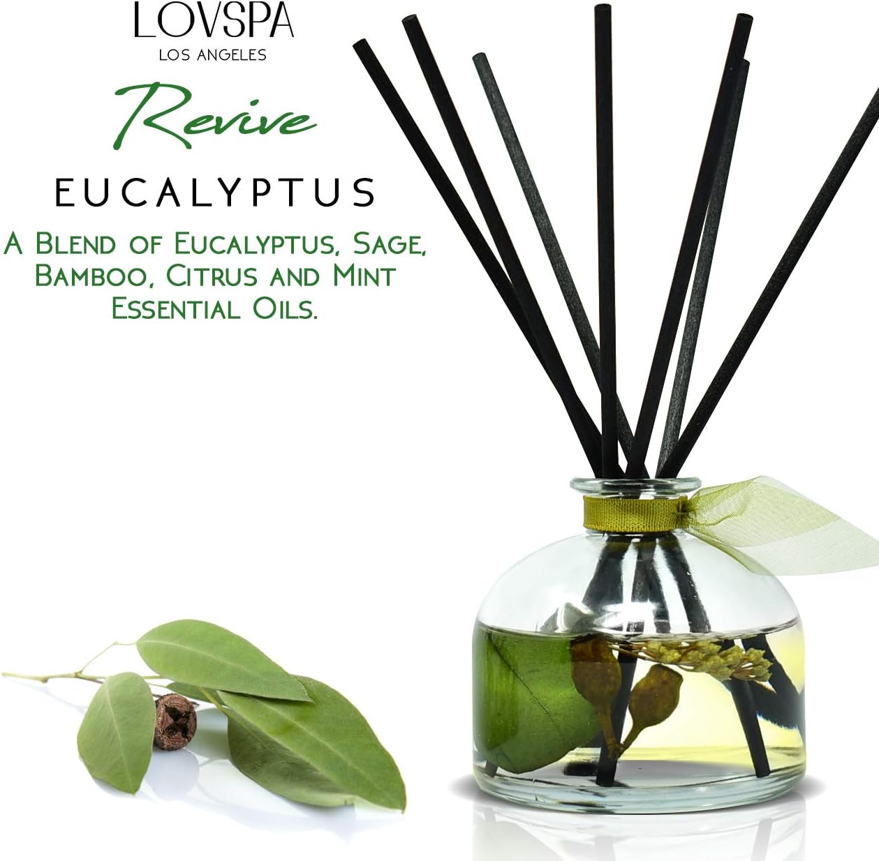 Eucalyptus Reed Diffuser Set for Home, Revive Fresh Eucalyptus, Sage, Citrus & Mint Scent Diffuser with Sticks for Bathroom Shelf Decor Accessories, Top Aromatherapy Gift for Women