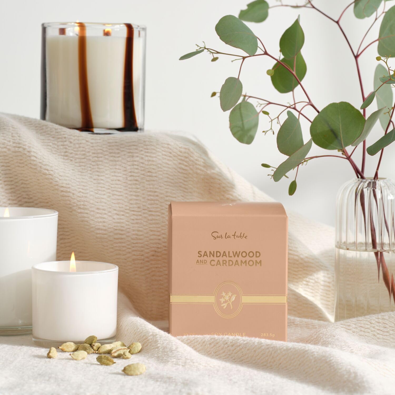 Sur La Table Sandalwood & Cardamom Candle, Hand-Poured Soy Blend with Warm Woody Sandalwood and Spiced Cardamom Fragrance