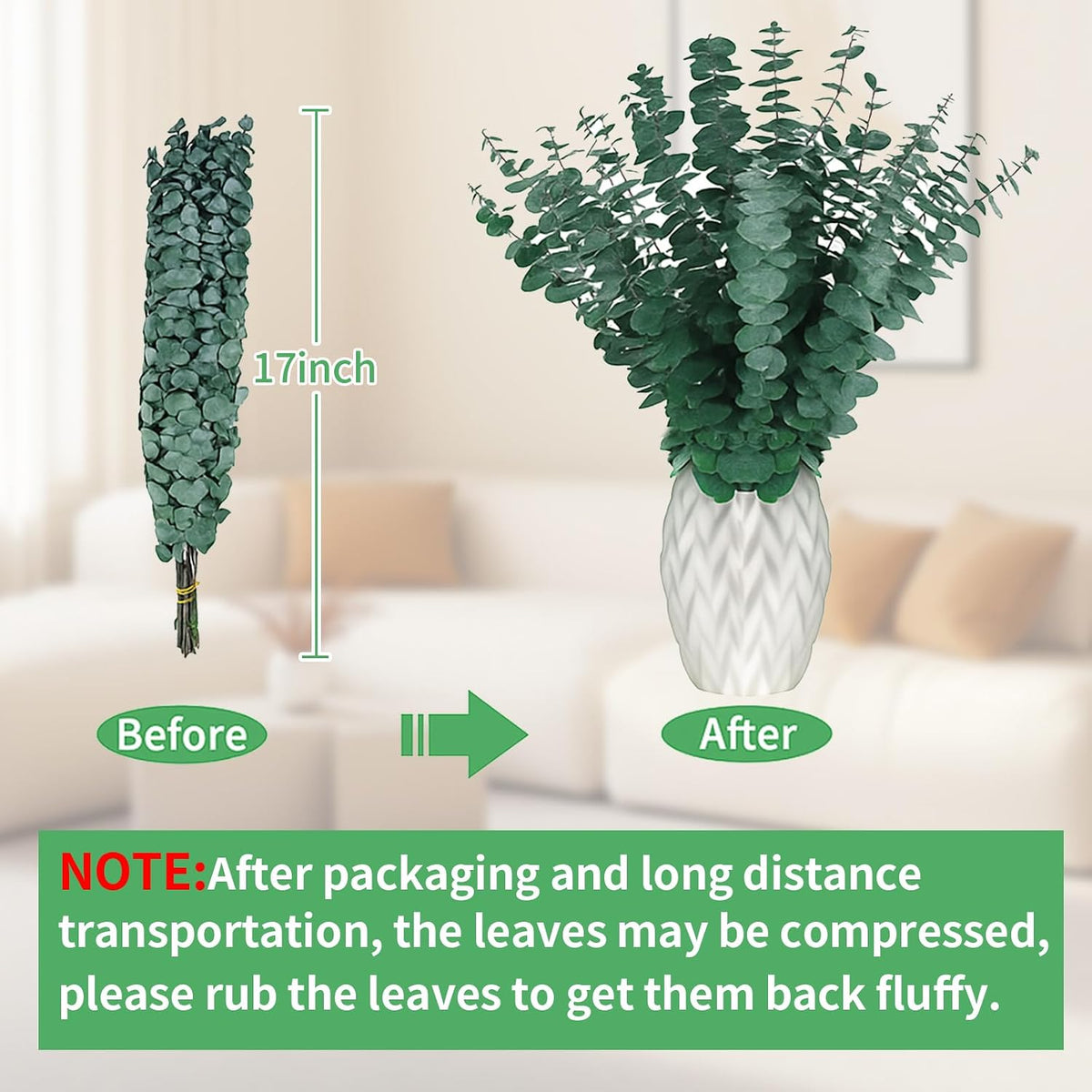 12PCS Dried Eucalyptus Bundle 17'' Real Eucalyptus Stems 100% Natural Fresh Leaves Hanging Plants Greenery Stems for Shower