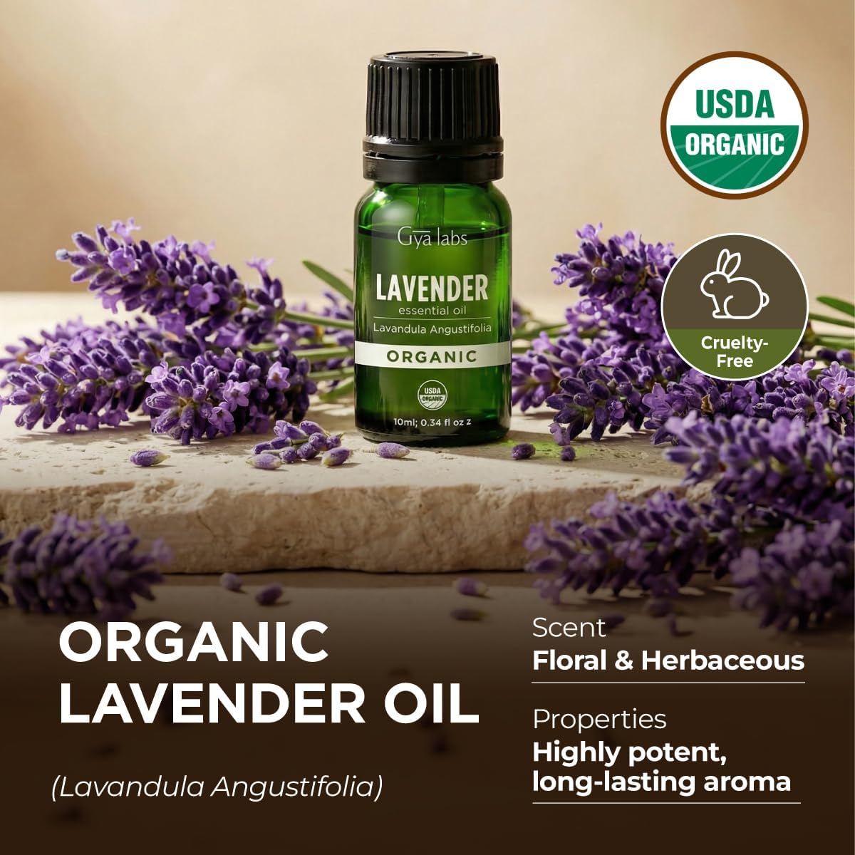 Gya Labs USDA Certified Organic Lavender Essential Oil for Relaxation & Rest - for Skin, Hair, Diffuser, Aromatherapy, DIY Candle Making Scents - 0.34 Fl Oz