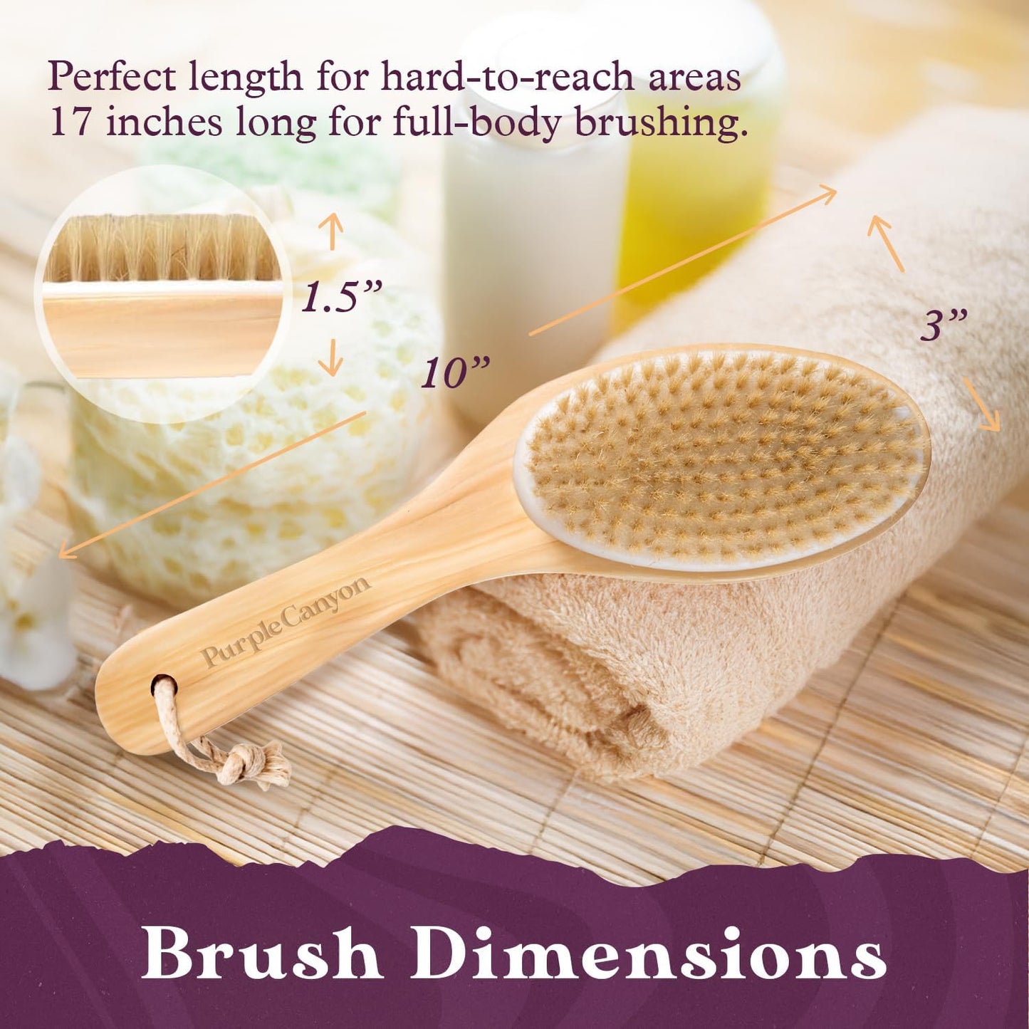 Purple Canyon Body Brush – Natural Boar Bristle Dry Brush for Exfoliating, Lymphatic Drainage, Cellulite Appearance, and Circulation – Curved Wooden Handle for Easy Back & Body Brushing