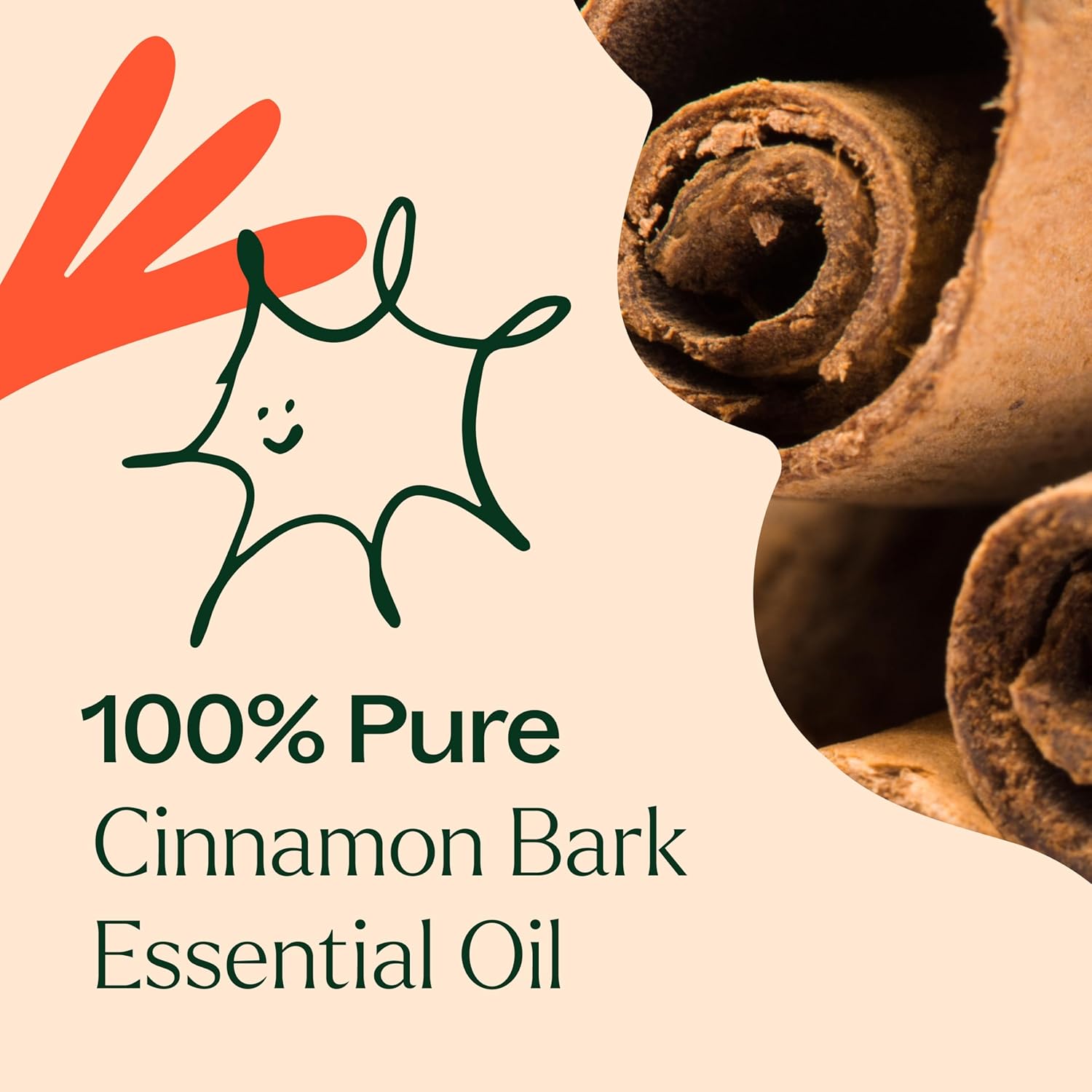 Plant Therapy Cinnamon Bark Essential Oil 30 mL (1 oz) 100% Pure Cinnamon Oil, Undiluted, Aromatherapy for Diffusing and Sore Muscle Relief