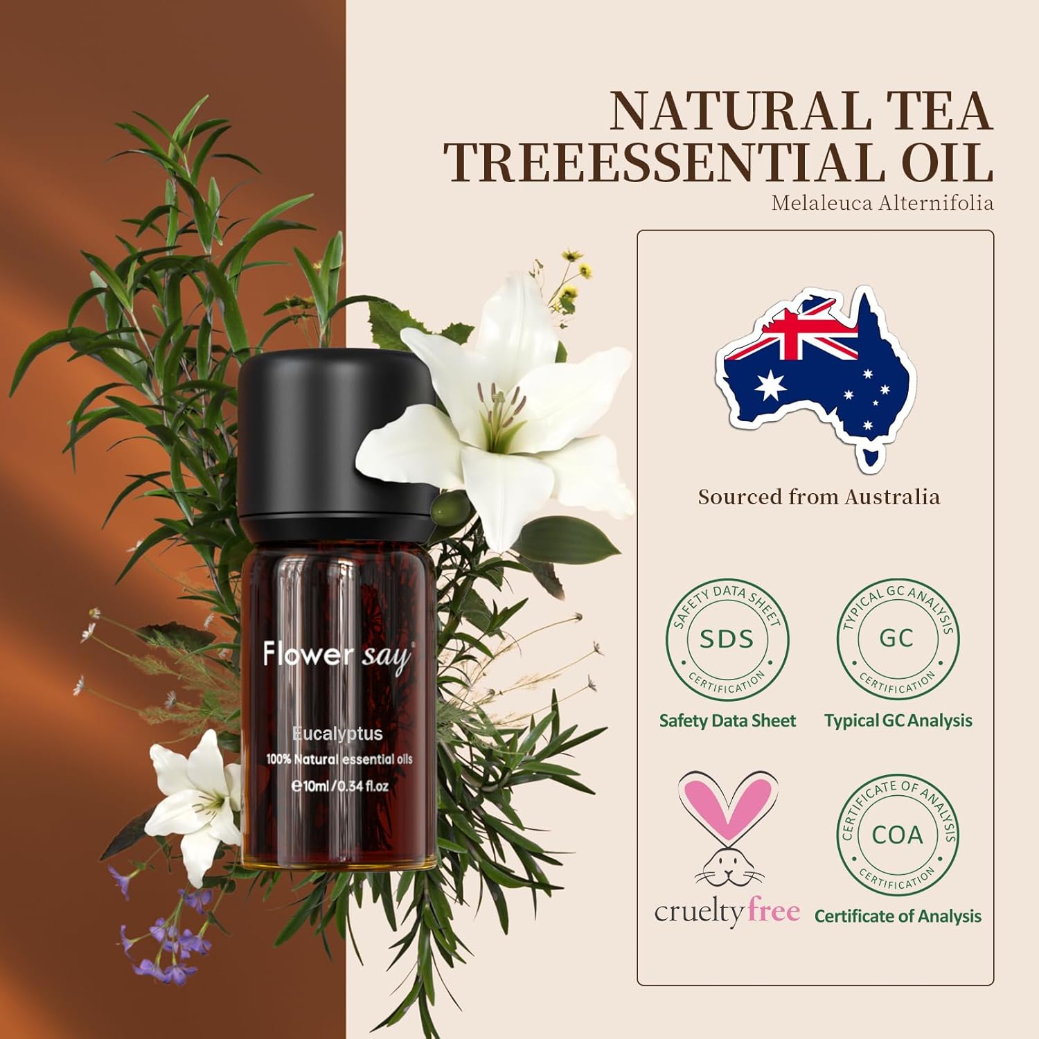 USDA Certified Organic Eucalyptus Essential Oil – 100% Pure & Natural, Undiluted Therapeutic Grade Aromatherapy Oil for Diffuser, Massage, Skin & Hair Care, DIY Soap & Candles – 0.34 Fl Oz (10 mL)