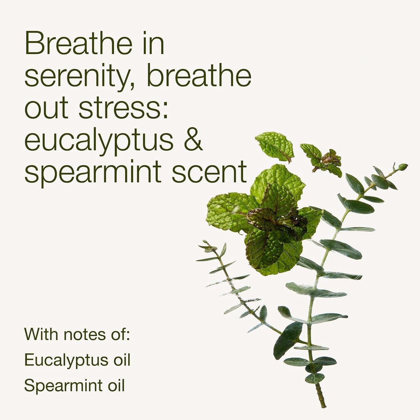 Bath & Body Works Aromatherapy Eucalyptus Spearmint Essential Oil Mist, Body Spray with Vitamin E and Aloe, Pillow Spray for Stress Relief, 5.3 fl oz - 1 Pack