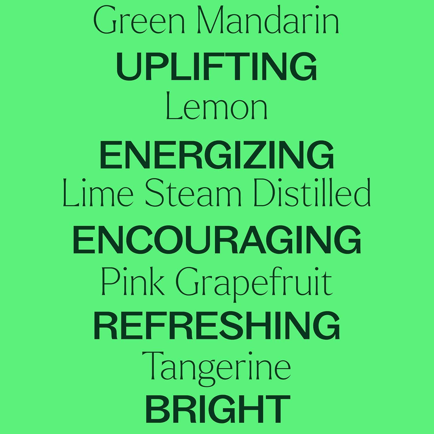 Plant Therapy Fruit Essential Oil Set - Grapefruit, Tangerine, Lemon, Mandarin, Lime, Orange Sweet Essential Oils, 100% Pure, Undiluted, for Diffusers & DIYs, 10 mL (1/3 oz) Each