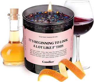 It’s Beginning to Look a Lot Like F This Scented Candle, Natural Soy Wax Candle with Orange Peel and Spiced Apple Cider Notes, Long-Lasting 60-Hour Burn, Candier by Ryan Porter