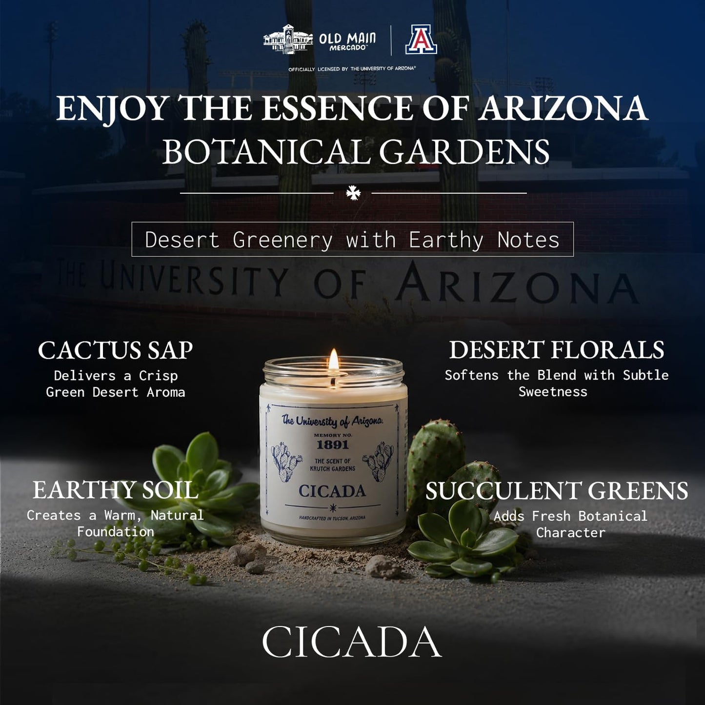 CICADA Succulent Garden Scented Candle Memory No.1891, University of Arizona Inspired Coconut-Soy Blend Wax, Cotton Wick, Cactus Sap Garden Greens Desert Soil Aroma, Hand-Poured Arizona Home Fragrance