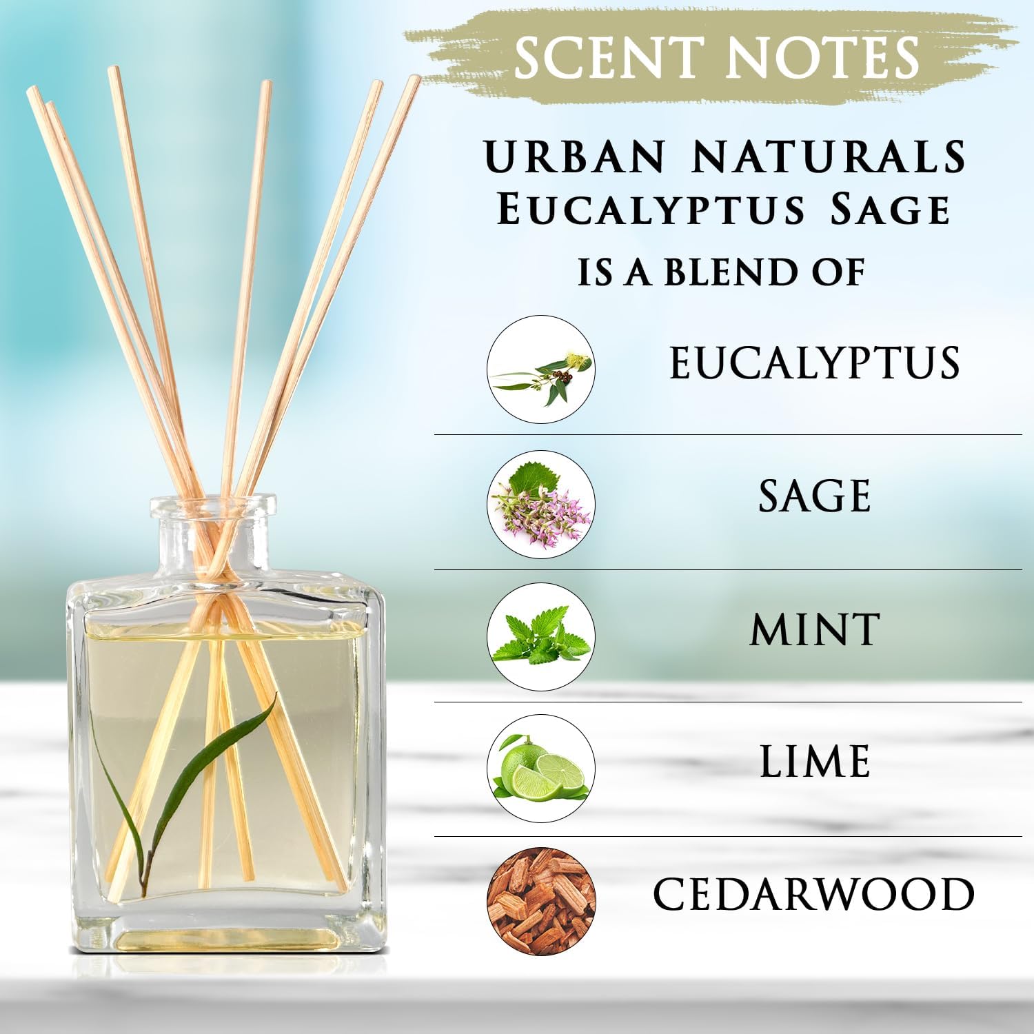 Urban Naturals Eucalyptus Sage Reed Diffuser Oil Gift Set – Eucalyptus, Sage, Mint, Lime & Cedarwood Essential Oils– Relaxing Scent – Sleek Rectangular Refillable Glass Bottle – Made in the USA