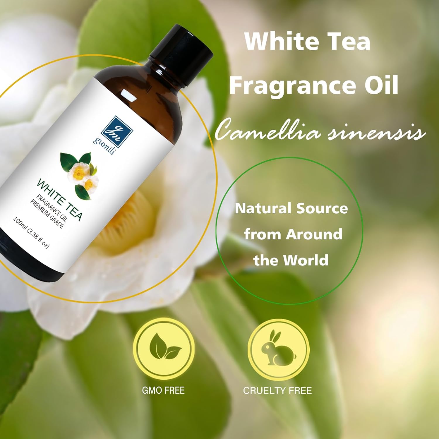GM Gumili White Tea Diffuser Oil 3.38Oz – Premium White Tea Essential Oils Blend for Diffuser, Home Fragrance, Relaxation & Aromatherapy – Freshy Scent 100ml
