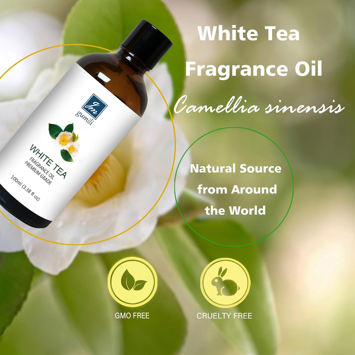 GM Gumili White Tea Fragrance Oil