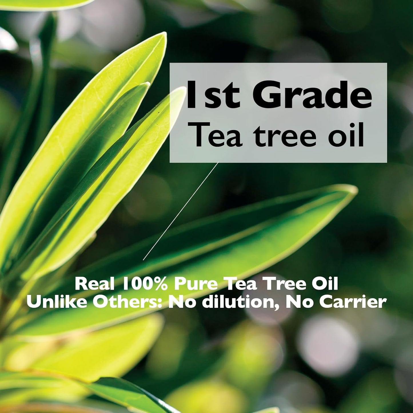 Lazy Society Teatree oil Roll-On 100% Spot Care for Acne Treatment - Gentle on Sensitive Skin, Targets Acne Pimples, Blemishes, and Zits. Face and Skin Spot Care Treatment for Acne, 0.18oz.
