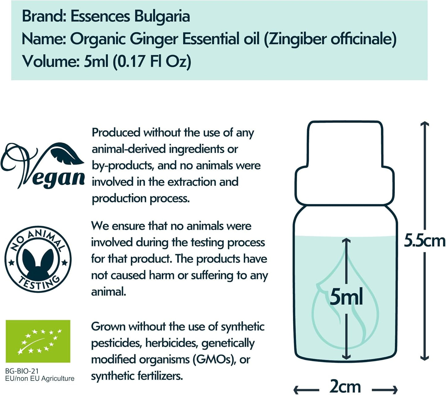 Essences Bulgaria Organic Ginger Essential Oil 0.17 Fl Oz 5ml Zingiber officinale - 100% Pure Natural Undiluted Therapeutic Grade Aromatherapy Oil for Diffuser Humidifier Lymphatic Drainage Massage