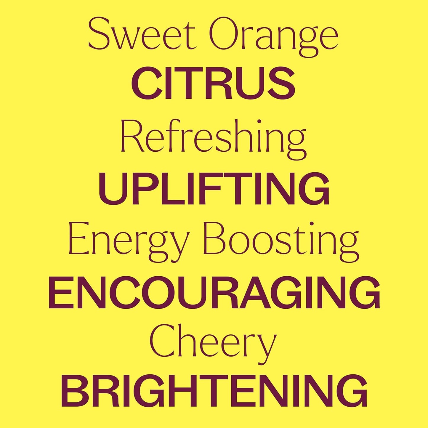 Plant Therapy Organic Sweet Orange Essential Oil, 30 mL (1 oz), 100% Pure Essential Oil, USDA Certified Organic, Great Fresh Citrus Aroma