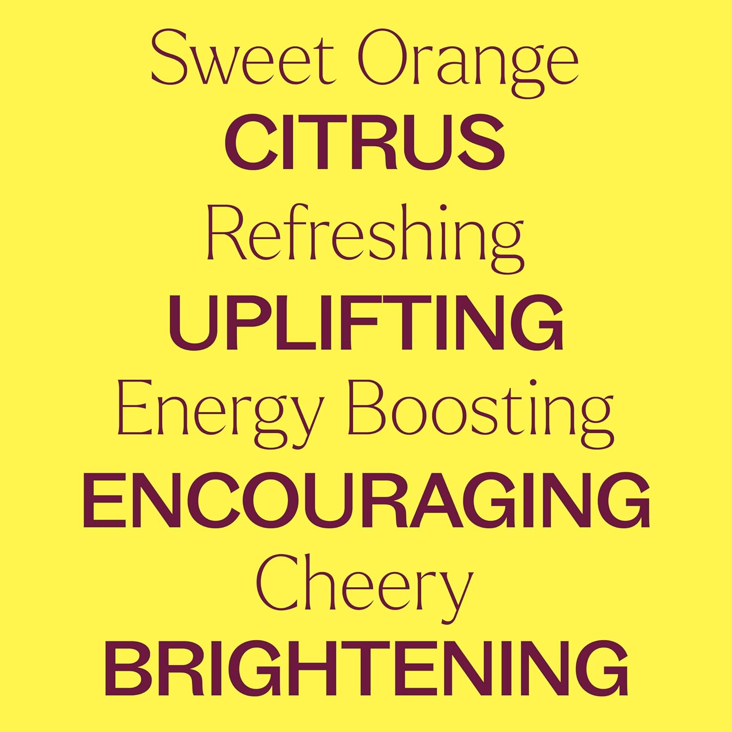 Plant Therapy Organic Sweet Orange Essential Oil, 30 mL (1 oz), 100% Pure Essential Oil, USDA Certified Organic, Great Fresh Citrus Aroma