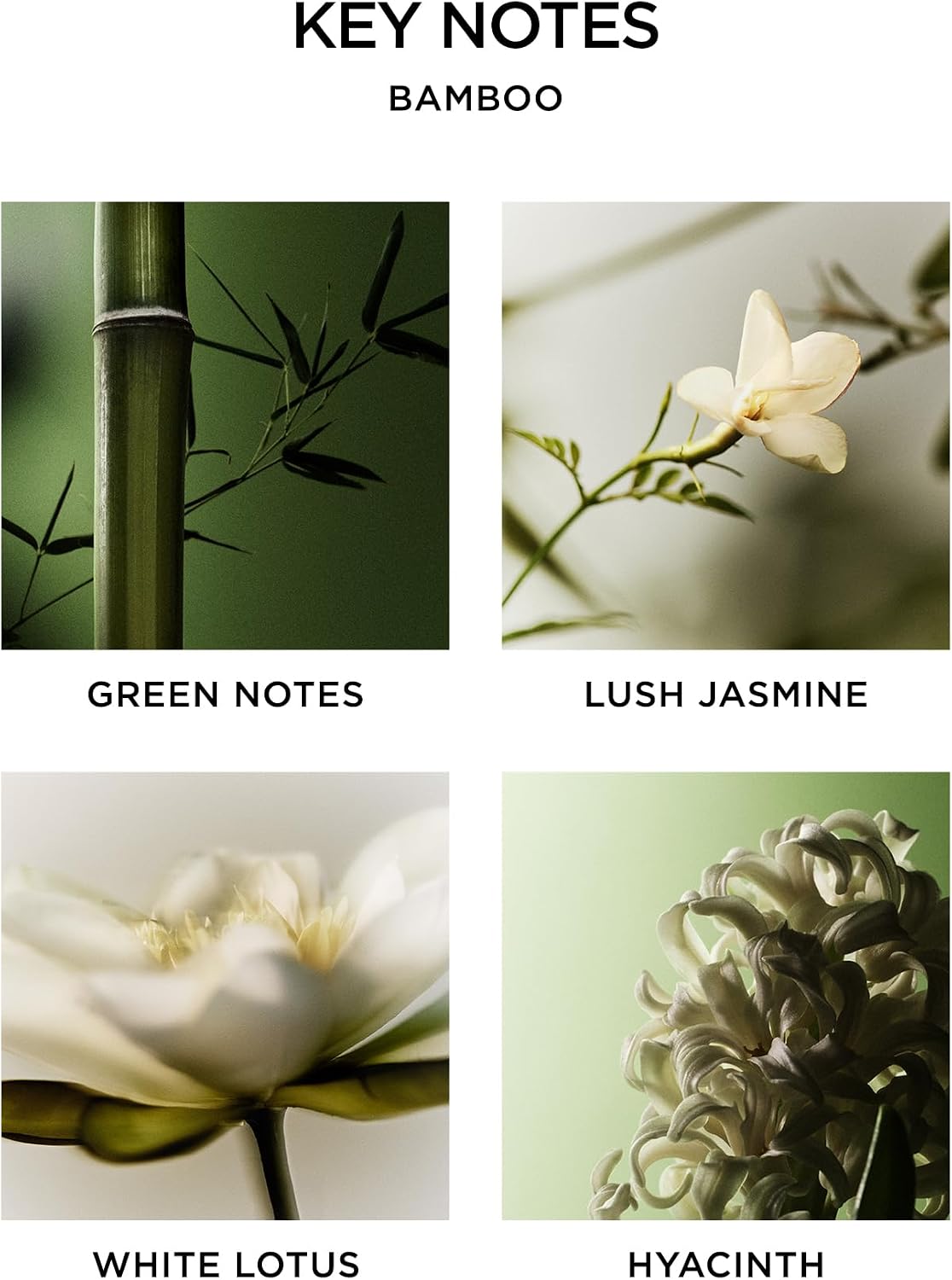 NEST New York Reed Diffuser Liquid Refill, Bamboo - 5.9 fl oz - Fragrance for Up to 90 Days - Flame Free