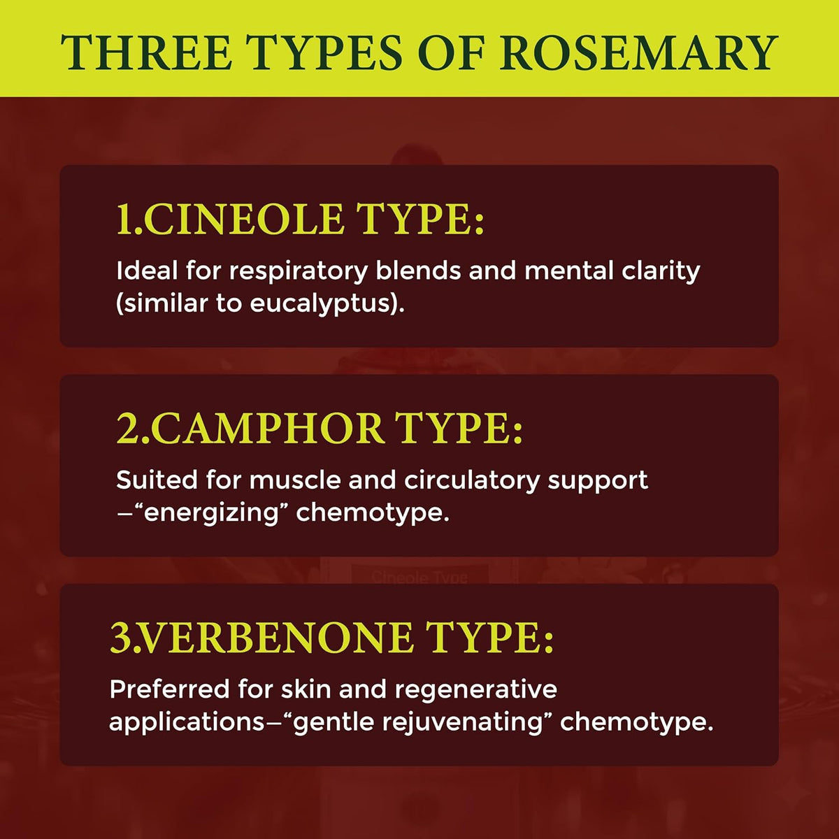 Organic Rosemary Essential Oil ct Camphor | 100% Pure Steam Distilled Aromatic Oil from Salvia rosmarinus Leaves | Fresh Herbaceous Camphor Aroma for Diffusers, Haircare | Spain 5ml w/Euro Dropper