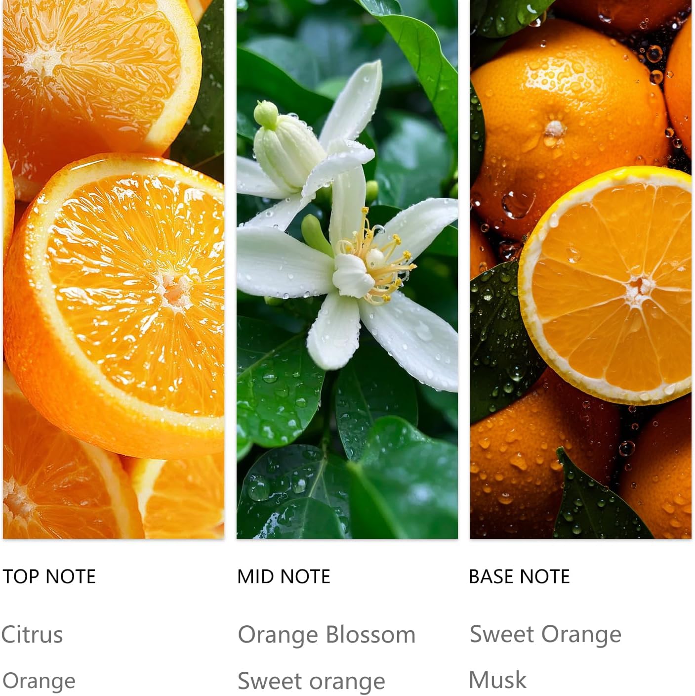 Waterless Essential Oil Orange for Diffuser 20ML Sampler Scented Oils, Aromatherapy Essential Oil Note of Citrus Uplifting Scent for Intstant Mood Boost and Clean Air