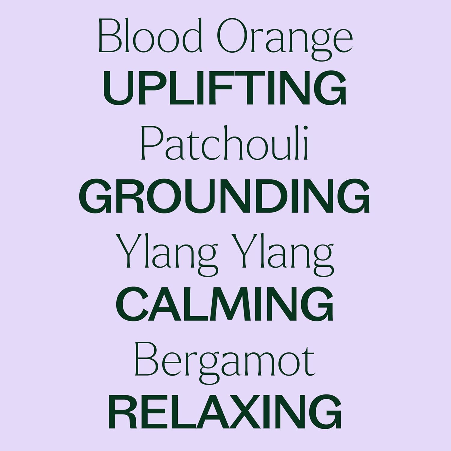 Plant Therapy Tranquil Essential Oil Blend, 30 mL (1 oz), 100% Pure, Undiluted, Natural Aromatherapy, Excellent for Meditation and Relaxation