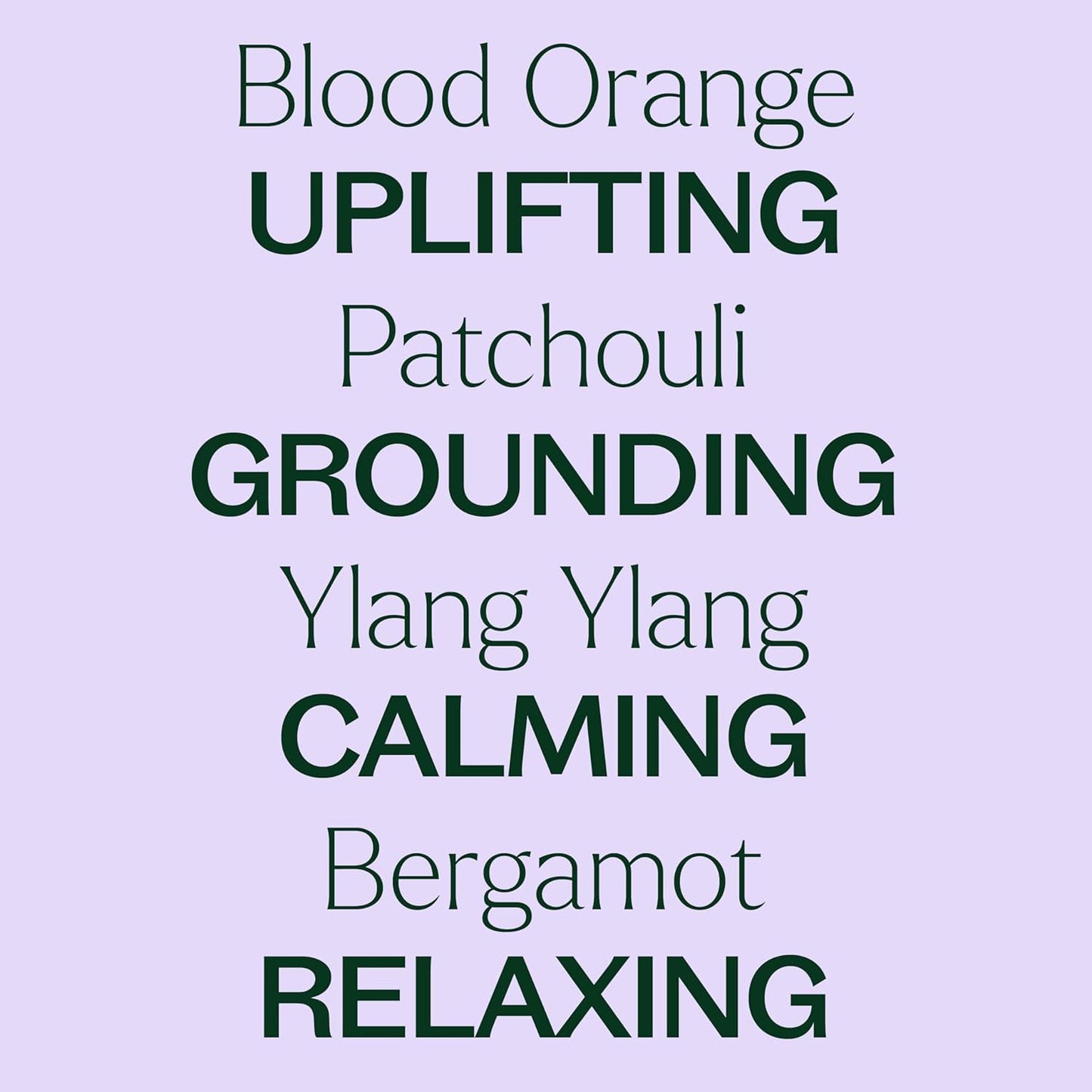 Plant Therapy Tranquil Essential Oil Blend 100 mL (3.3 oz), 100% Pure, Undiluted, Natural Aromatherapy for Relaxation and Better Sleep