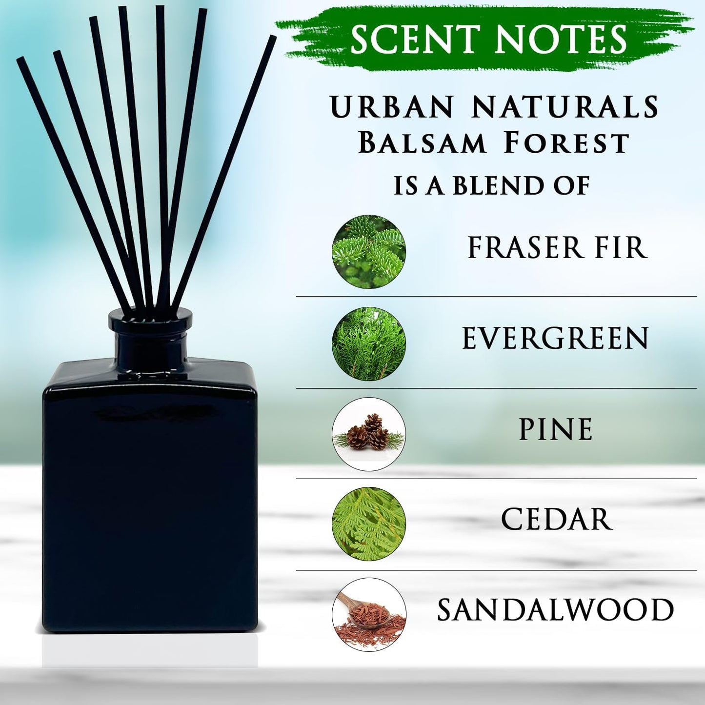 Urban Naturals Balsam Forest Reed Diffuser Oil Set – Fraser Fir, Evergreen, Pine, Woodsy Cedar and Sandalwood – 5 Ounce Sleek Black Rectangular Refillable Glass Bottle – Made in the USA