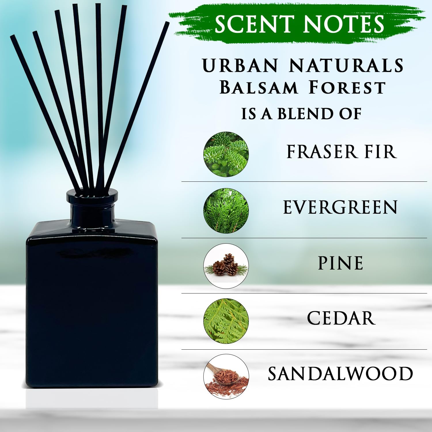 Urban Naturals Balsam Forest Reed Diffuser Oil Set – Fraser Fir, Evergreen, Pine, Woodsy Cedar and Sandalwood – 5 Ounce Sleek Black Rectangular Refillable Glass Bottle – Made in the USA