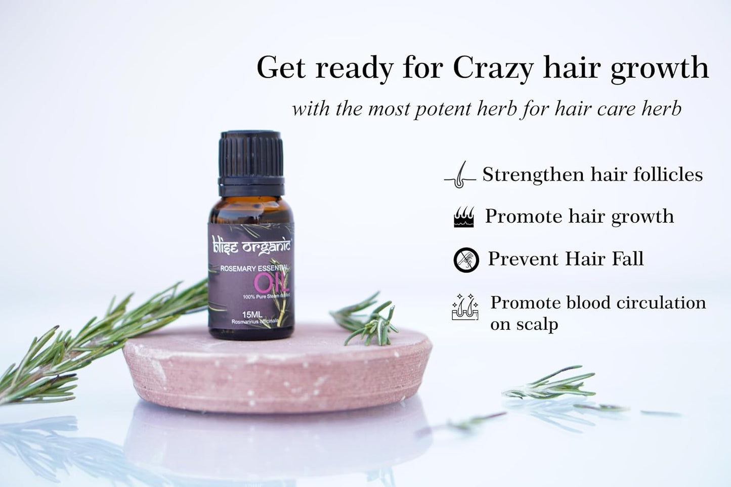 Blise organic Rosemary Essential Oil -100% Pure and Naturals for Hair Fall Control and Hair Growth, Undiluted, Natural Aromatherapy for Diffuser, Therapeutic Grade 15 mL (0.5 oz), Non GMO