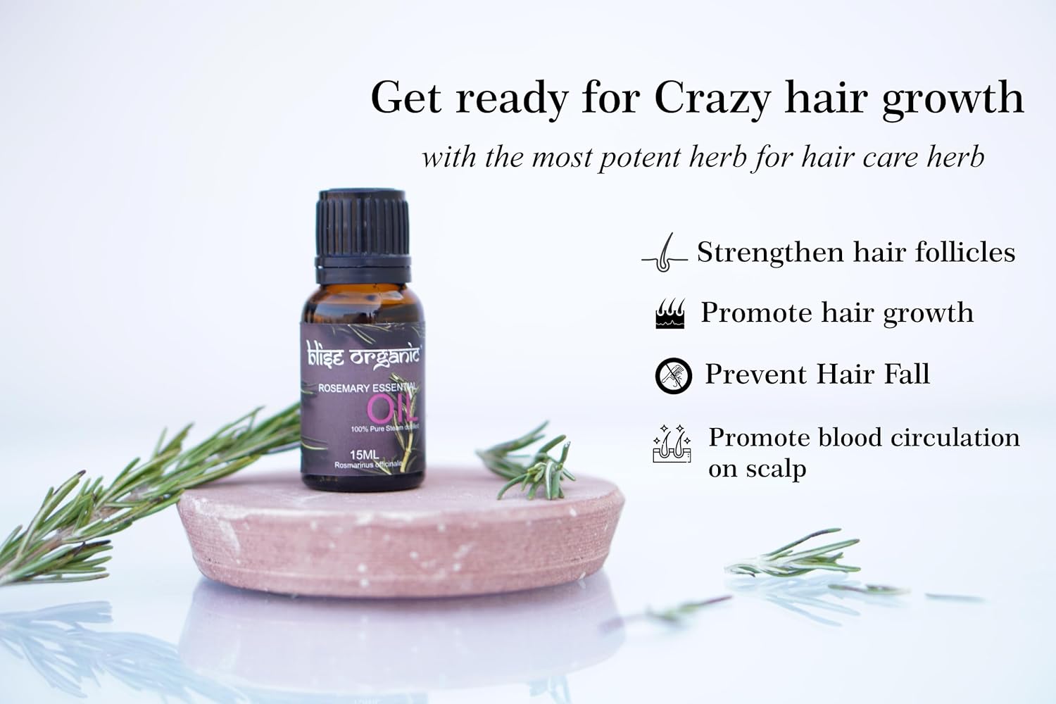Blise organic Rosemary Essential Oil -100% Pure and Naturals for Hair Fall Control and Hair Growth, Undiluted, Natural Aromatherapy for Diffuser, Therapeutic Grade 15 mL (0.5 oz), Non GMO