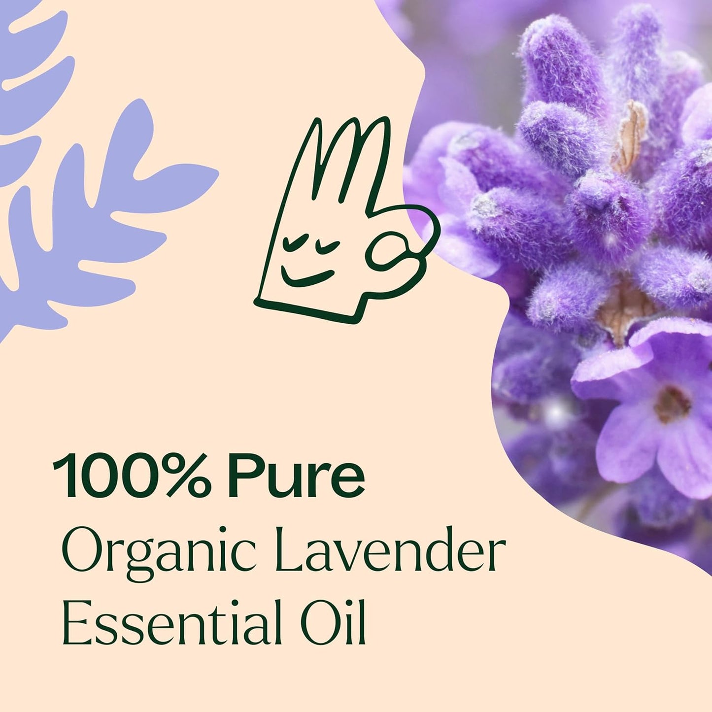 Plant Therapy Organic Lavender Essential Oil 10 mL (1/3 oz), 100% Pure, Pre-Diluted Roll-On, Soothing Aromatherapy for Deep Sleep and Relaxation