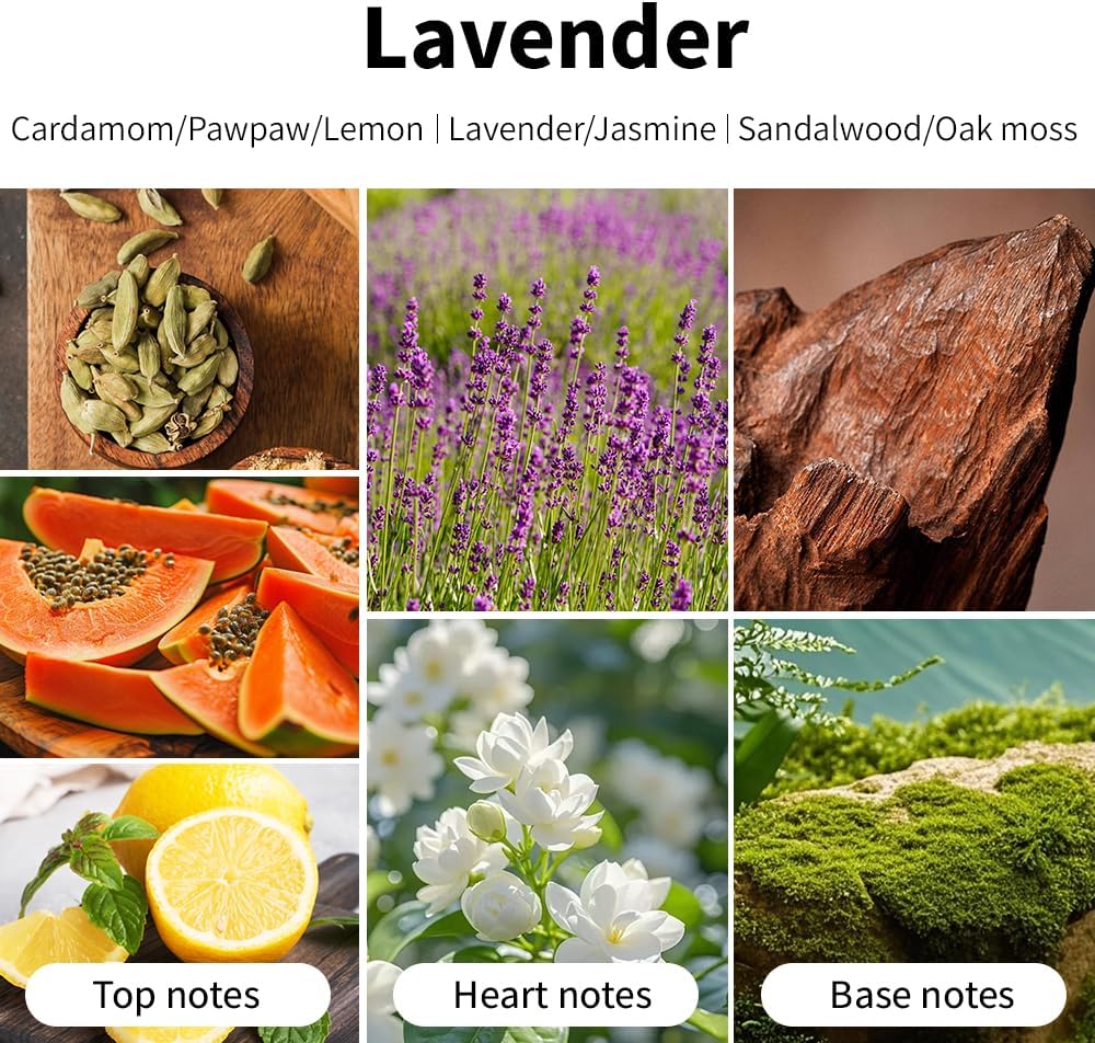 Lavender Scented Candles, 7oz Soy Wax Candle, Long Lasting Aromatherapy Jar Candle for Home, Scented Long Burning Candle Gift for Women and Men