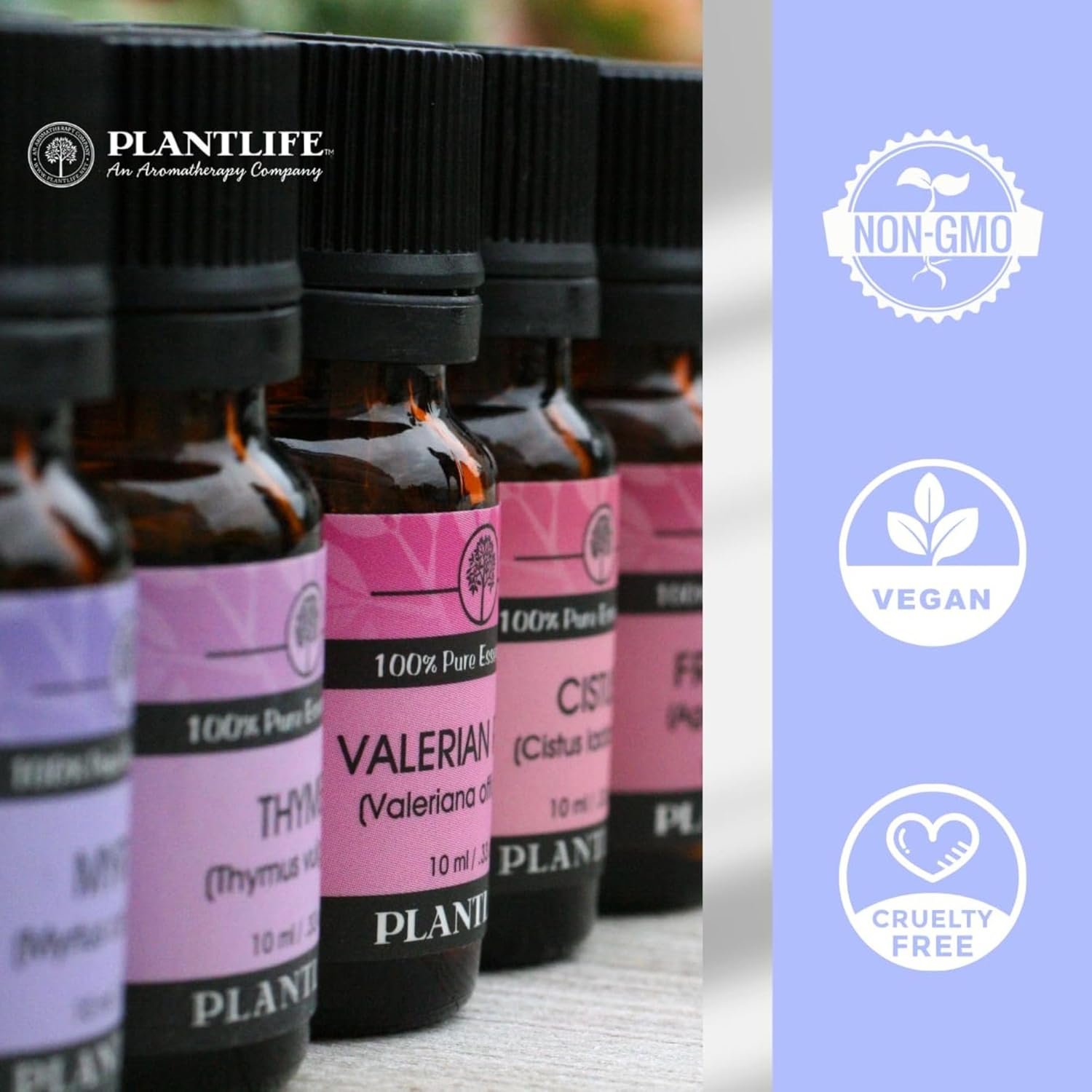 Plantlife Cedar Leaf Aromatherapy Essential Oil - Straight from The Plant 100% Pure Therapeutic Grade - No Additives or Fillers - 10 ml
