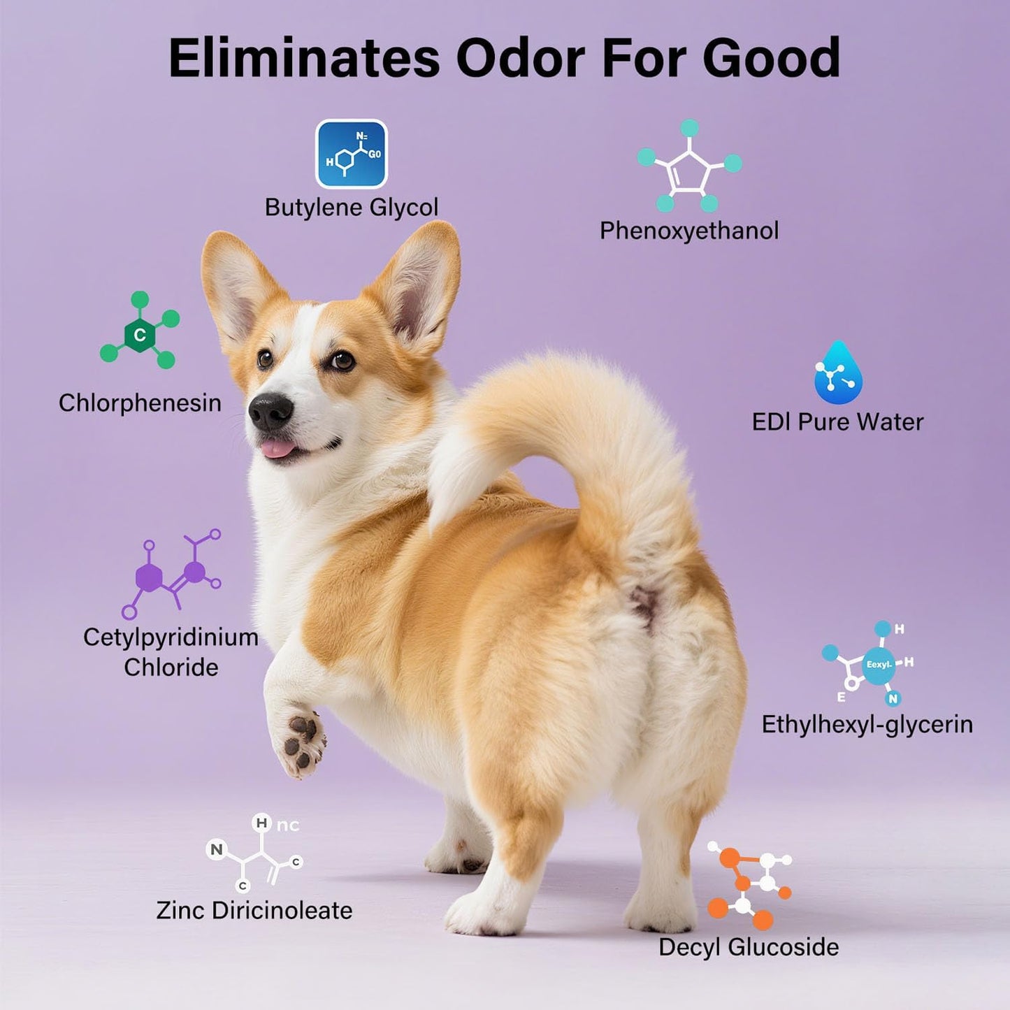 Pet Odor Eliminator Spray (8oz/236ml) – Cedar Scent Pet Odor Remover for Dog & Cat Urine, Carpet, Bedding & Strong Pet Smells, Natural Neutralizer for Home & Pet Areas