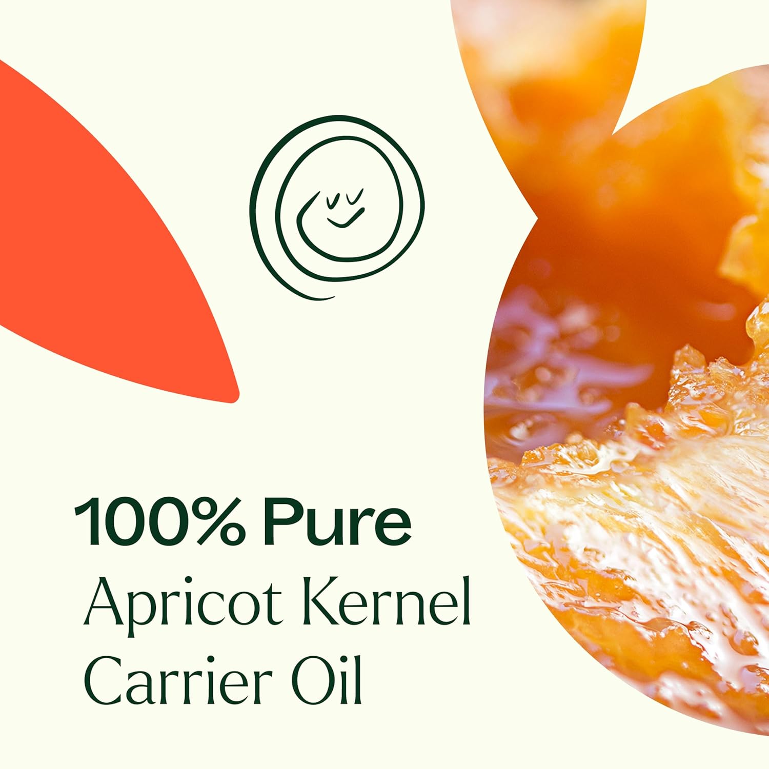 Plant Therapy Apricot Kernel Carrier Oil, 4 oz, Natural Base for Diluting Essential Oils, Use for Aromatherapy or DIY Massage