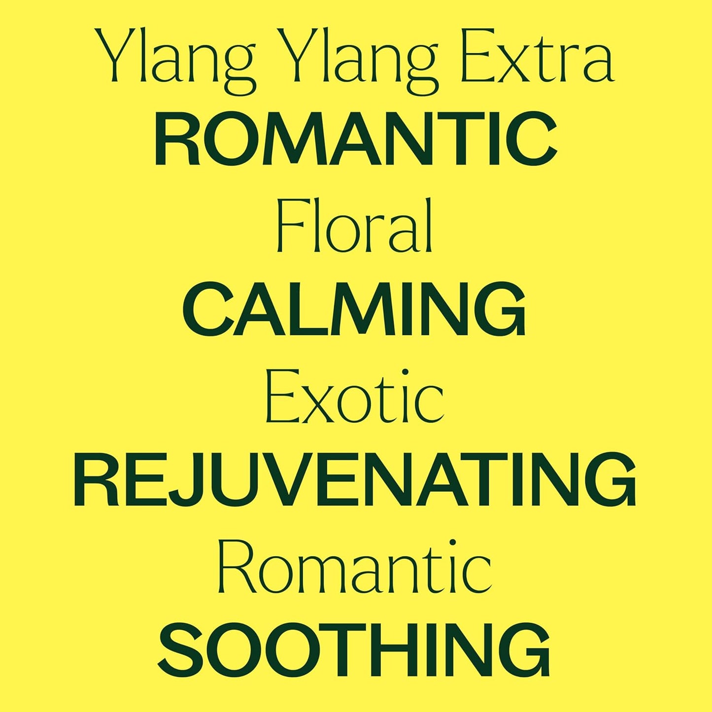 Plant Therapy Ylang Ylang Extra Essential Oil 10 mL (1/3 oz) 100% Pure, Undiluted, for Calming Aromatherapy, Romantic Gift