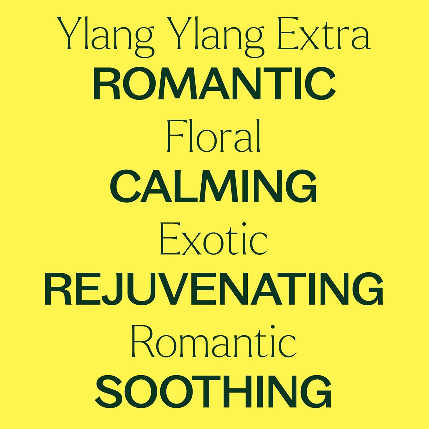 Plant Therapy Ylang Ylang Extra Essential Oil 10 mL (1/3 oz) 100% Pure, Undiluted, for Calming Aromatherapy, Romantic Gift
