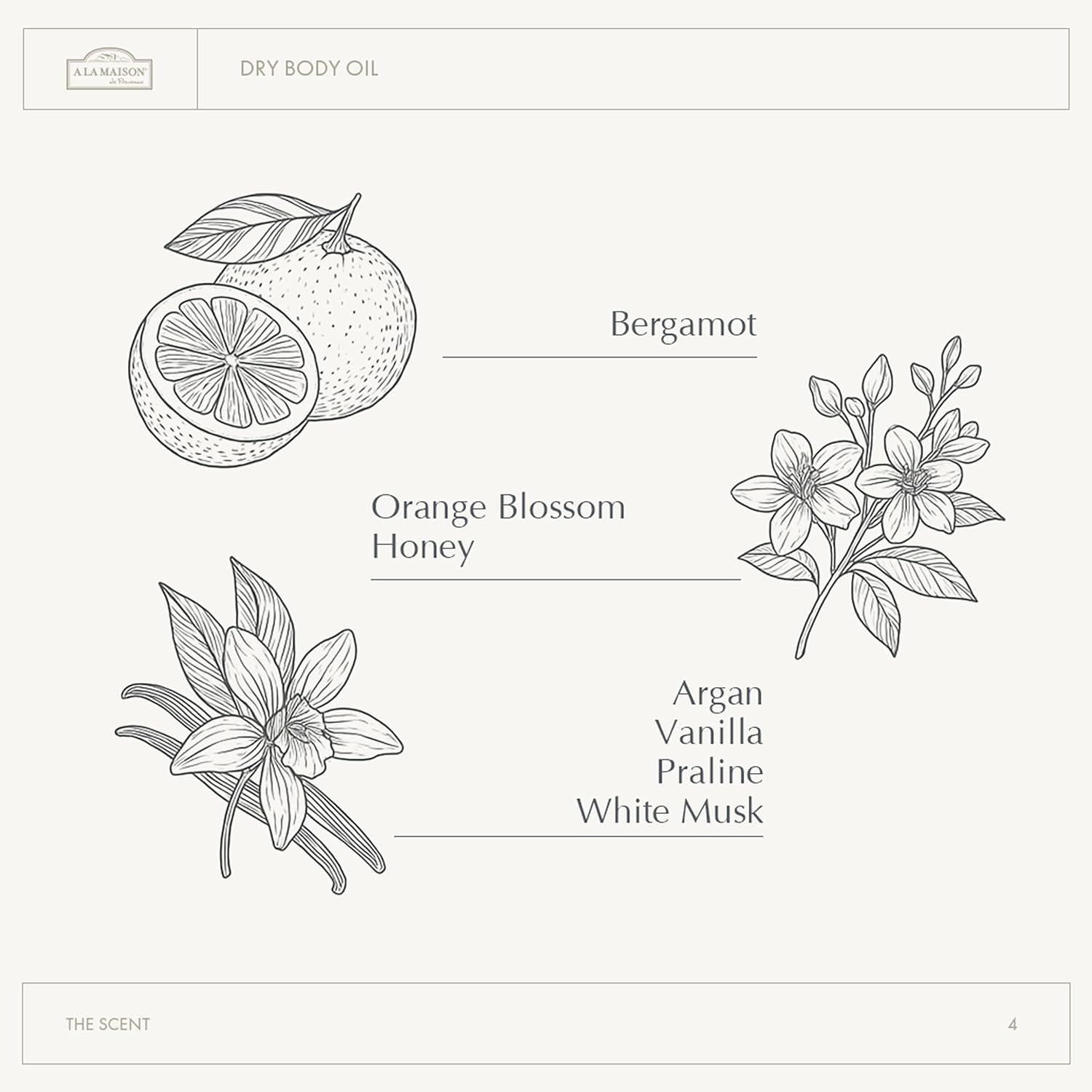 A LA MAISON Amber Collection White Tea & Rose Duo: Shower Oil - 3.3 oz Moisturizing & Fast-Absorbing Body Oil, 8.1 oz Hydrating Body Wash Alternative