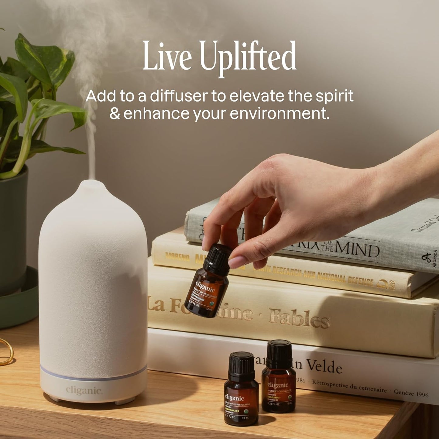 Cliganic Organic Essential Oils Blend - Well Being - Drop of Rejuvenation (Packaging May Vary)
