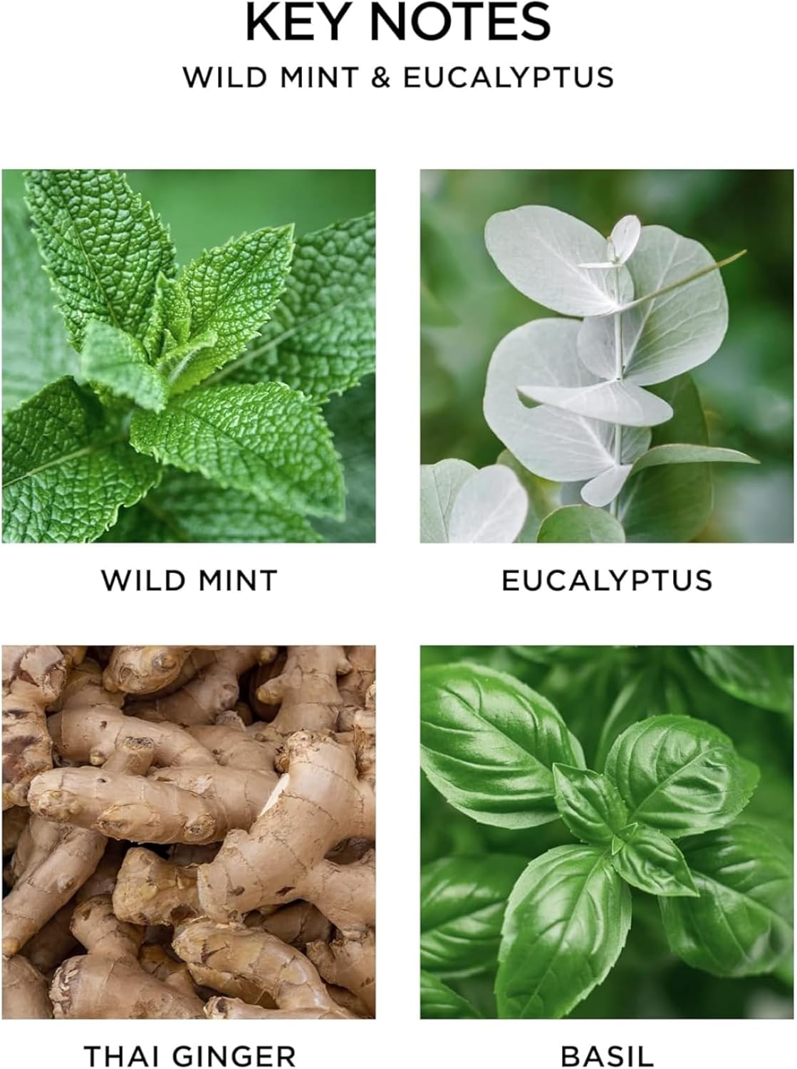 NEST New York Smart Home Fragrance Diffuser Refill Smart Vials, Wild Mint & Eucalyptus - Set of 2 - Designed for NEST x Pura 3 and NEST x Pura 4 Diffusers - Cruelty Free, Vegan