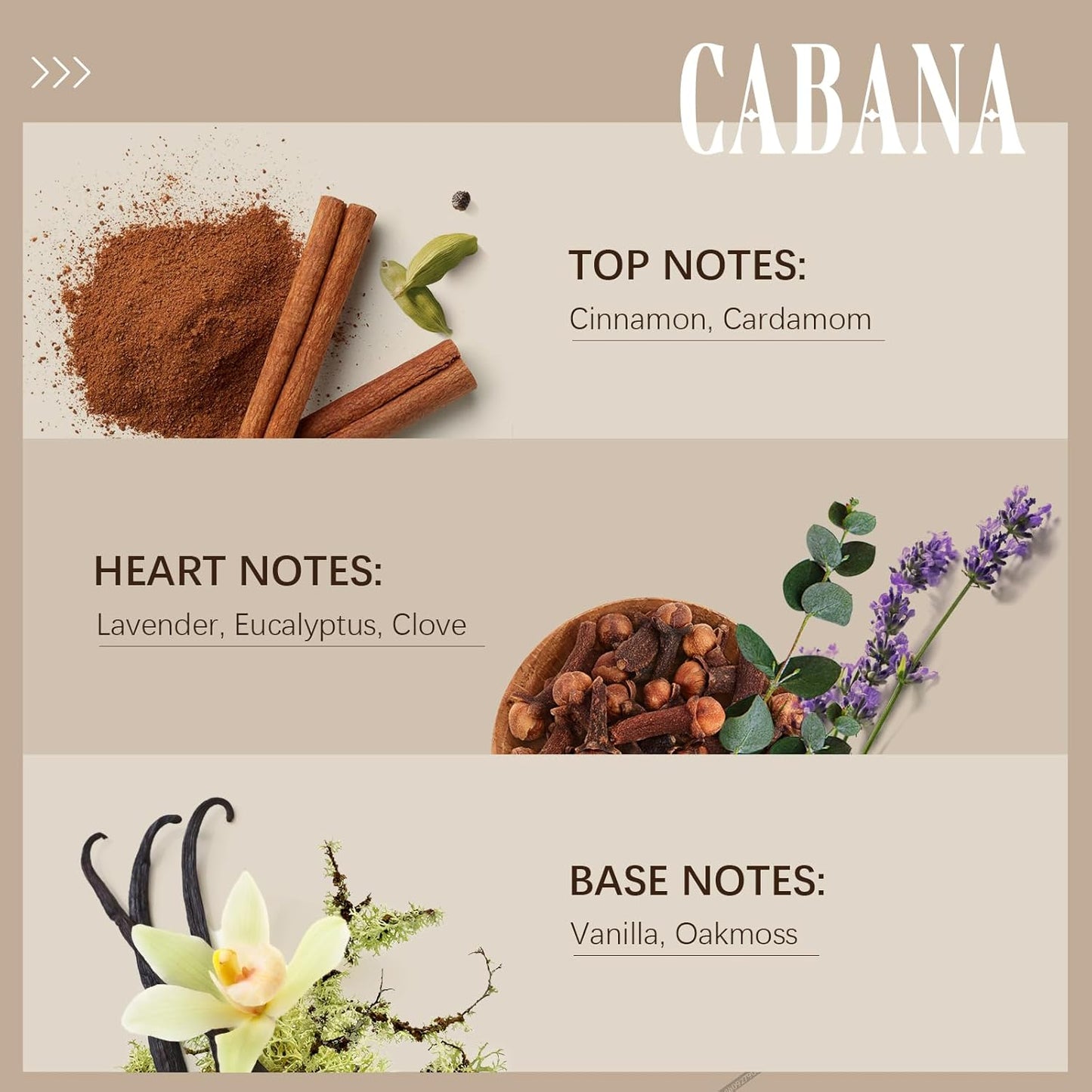 Cabana Hotel Diffuser Oil | Aromatherapy Fragrances Inspired by 5-Star Hotels | Luxurious Scents, Premium Fragrance Oil Blend for Waterless Diffusers and Crafting - 100ml, 3.38 fl oz
