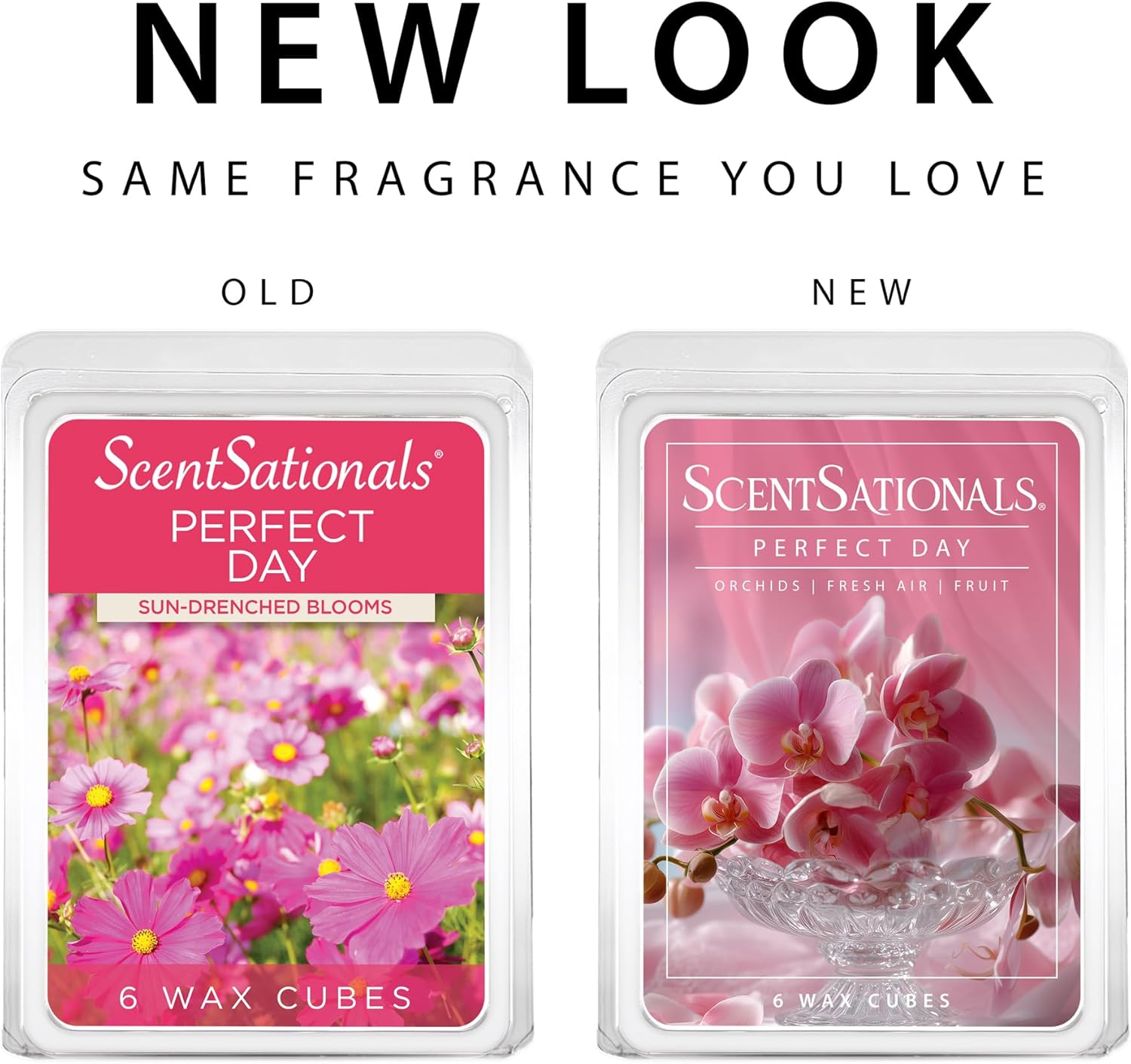 Scentsationals Perfect Day Scented Wax Melts - Orchids, Fresh Air, & Fruit, 10oz (24 Cubes)