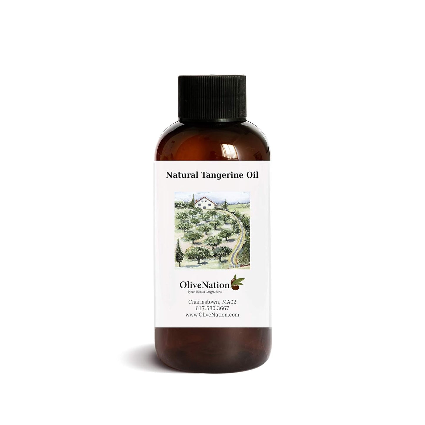 OliveNation Natural Tangerine Oil, Food Grade Essential Tangerine Oil for Candy, Chocolates, Baking, Non-GMO, Gluten Free, Kosher, Vegan - 4 ounces