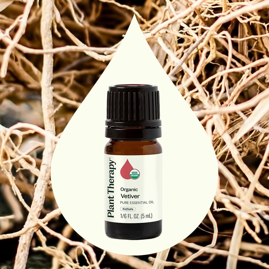 Plant Therapy Organic Vetiver Essential Oil, 5 mL (1/6 oz) Pure, Undiluted Essential Oil, Great for Meditation and DIY Natural Skin Care