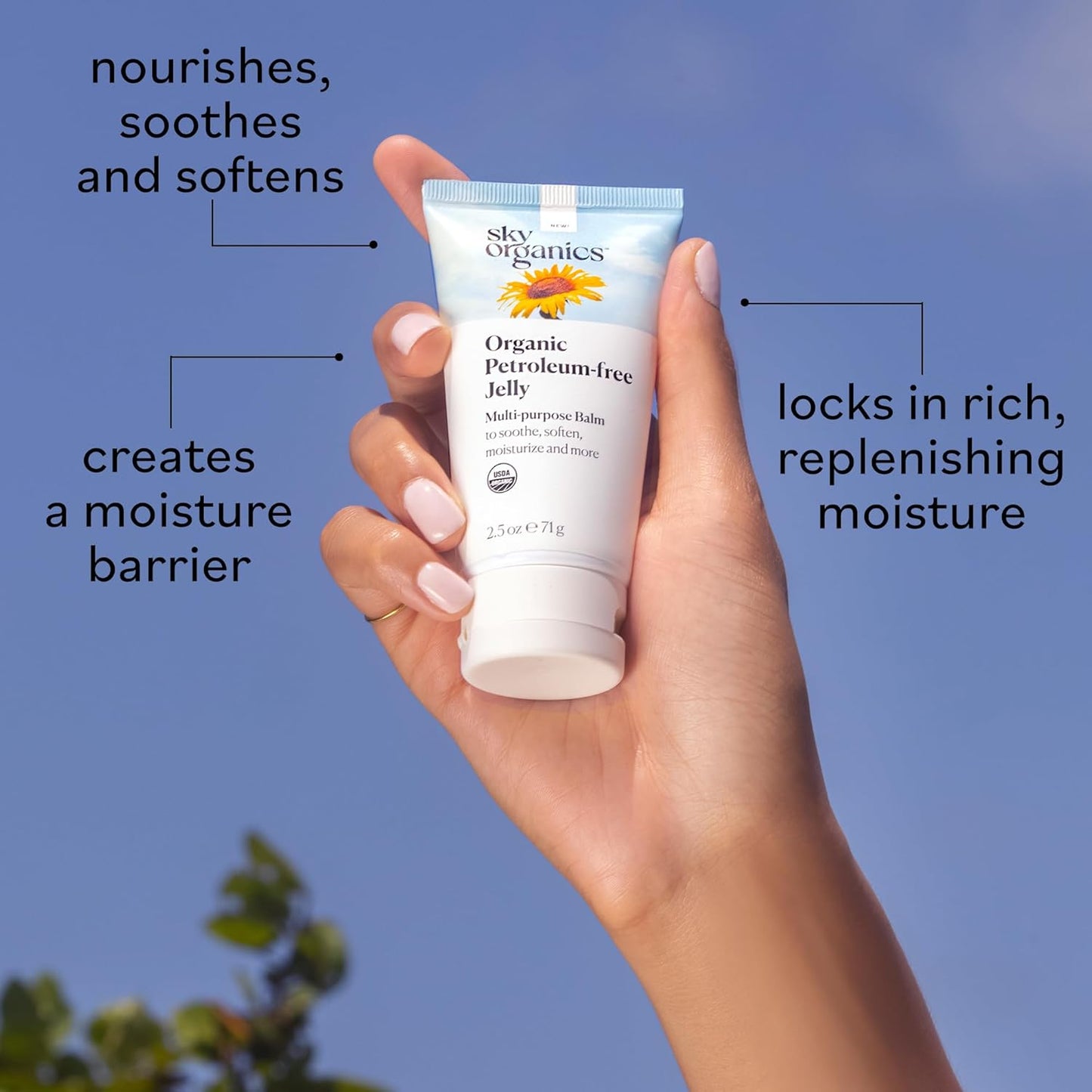 Sky Organics Organic Petroleum-free Jelly, Multi-Purpose Skin Care Balm with Organic Shea Butter, Coconut Oil, Olive Oil & Vitamin E, Moisturizing Lip Balm & Moisturizer for Dry Skin, 2.5 Oz