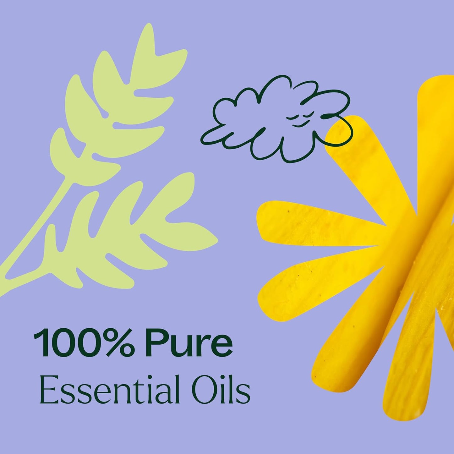 Plant Therapy Worry Free Essential Oil Blend Pre-Diluted Roll-On 10 mL (1/3 oz) 100% Pure, Natural Aromatherapy