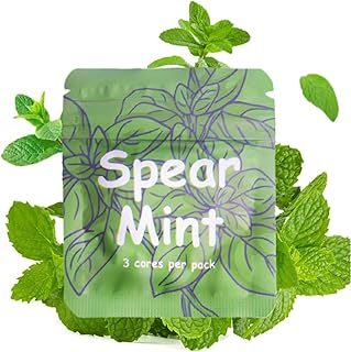 1 Pack Plant-Based Spearmint Essential Oil Cores for Necklace Diffusers - 5.5mm x 30mm Aromatherapy Inserts, Natural Scent Refills 3 Pcs