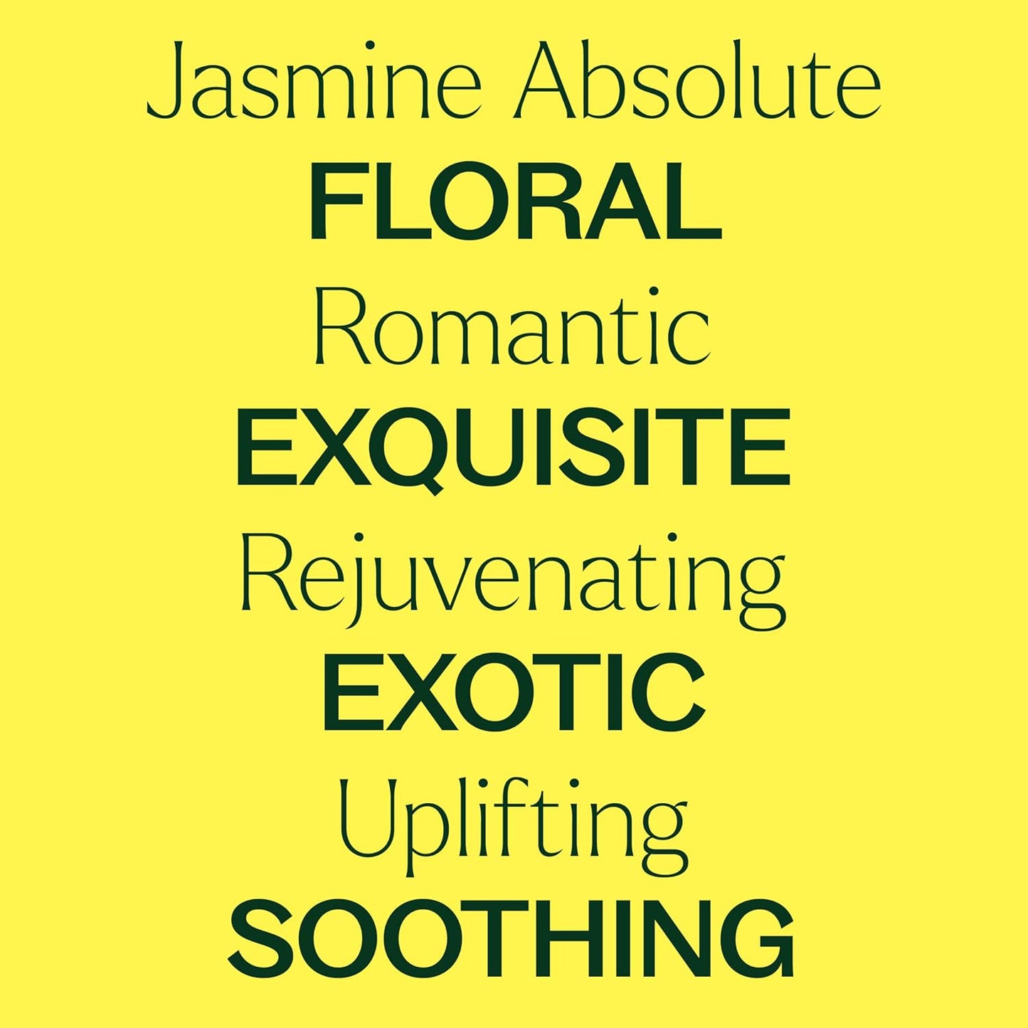 Plant Therapy Jasmine Sambac Absolute Essential Oil, 2.5 mL (1/12 oz), 100% Pure and Undiluted, Great for Skin Care DIYs and Aromatherapy